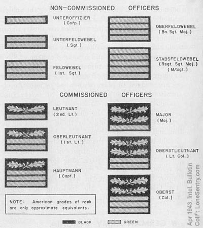 [Figure 1. (German Army shoulder insignia)]