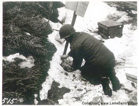 [Engineers mine clearing probably during a training exercise]